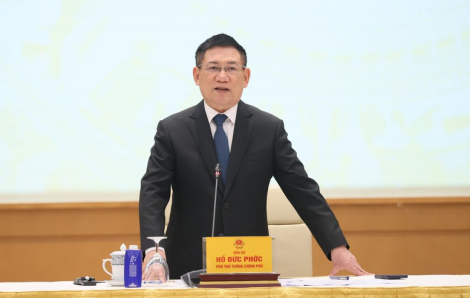 Chính phủ Việt Nam đề nghị Mỹ tạm hoãn áp thuế 1- 3 tháng để đàm phán