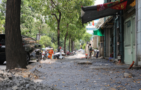 Nhiều tuyến đường ở TPHCM cải tạo vỉa hè gây ảnh hưởng đến an toàn cây xanh