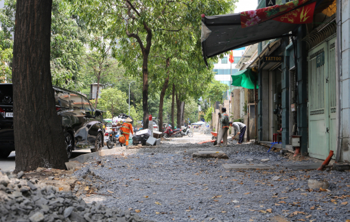 Nhiều tuyến đường ở TPHCM cải tạo vỉa hè gây ảnh hưởng đến an toàn cây xanh