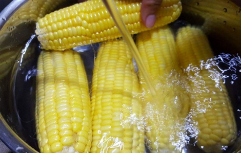 Ngọt lịm vị bắp luộc đầu mùa