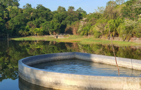 Trải nghiệm tắm hồ khoáng nóng tự nhiên ít người biết giữa rừng gần TPHCM