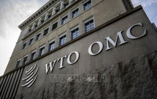 WTO: Việt Nam thực hiện nghiêm cam kết quốc tế