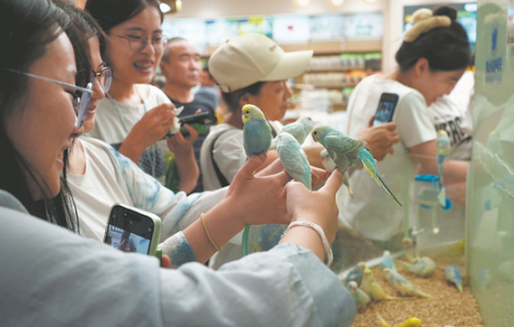 Vì sao giới trẻ Trung Quốc tìm đến thú cưng, video ngắn để chữa lành?