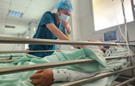 Lùa bò đi ăn cỏ, người phụ nữ bị chó pitbull cắn xé phải nhập viện