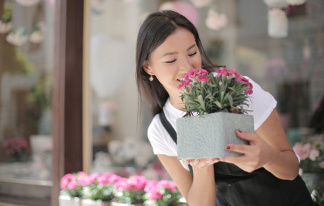 Tìm hạnh phúc ở đâu?