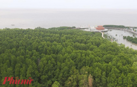 Trước ngày 2/9 sẽ khởi công tuyến cao tốc từ TP Cà Mau đến Đất Mũi