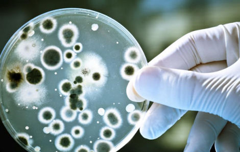 3,5 triệu người có thể tử vong vì nhiễm khuẩn bệnh viện mỗi năm