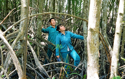 KỲ TÍCH RỪNG CẦN GIỜ - Bài 2: Những thế hệ gửi trọn thanh xuân cho rừng