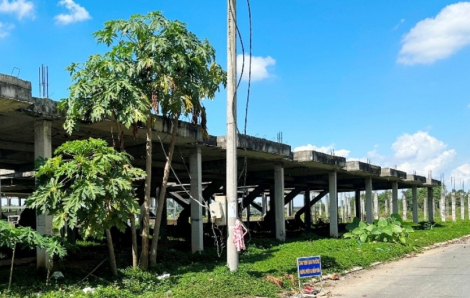 Phạt công ty Hoàng Quân Mê Kông 170 triệu đồng, buộc trả hơn 67 tỉ đồng cho khách hàng