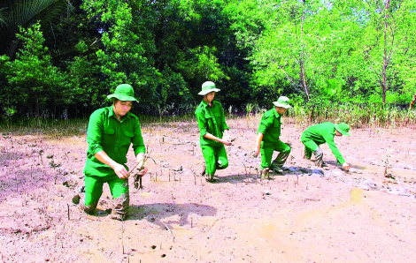 Bài cuối: Tài sản vô giá của chính quyền và nhân dân TPHCM