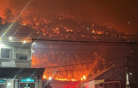 Liên tiếp 2 vụ cháy rừng trong đêm tại Quảng Ninh