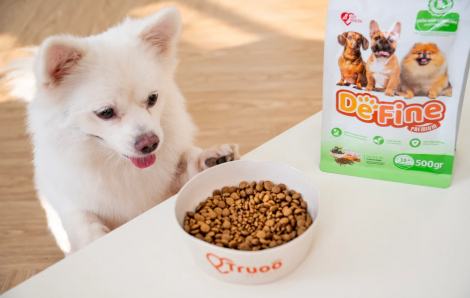 Không chỉ là thức ăn, mà còn là tình yêu thương - cùng thức ăn cao cấp cho chó mèo DeFine