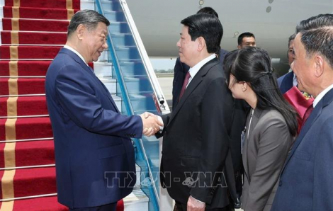 Tổng bí thư, Chủ tịch nước Trung Quốc Tập Cận Bình đến Hà Nội, bắt đầu chuyến thăm Việt Nam