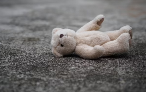 Thú nhồi bông chứa vi khuẩn nhiều bất ngờ