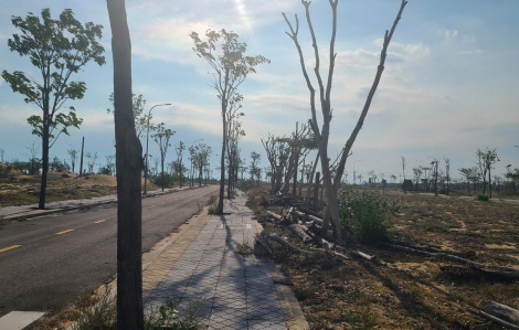 Thống nhất gỡ vướng cho dự án Nhơn Hội, mở đường cấp sổ cho khách hàng