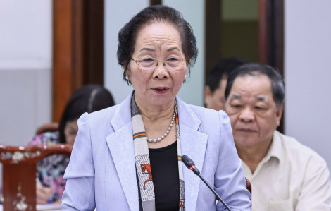 Nguyên Phó Chủ tịch nước: Gần 600 loại sữa giả, trách nhiệm của ai?