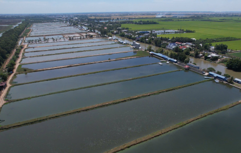 Agribank đẩy mạnh tín dụng ưu đãi lĩnh vực nông, lâm, thủy sản