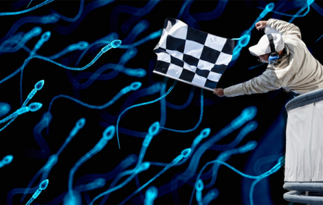 Sự kiện ‘có một không hai’: Livestream cuộc đua tinh trùng triệu USD