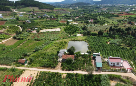 Giao dịch bất động sản Lâm Đồng tiếp tục giảm, nhiều nơi cắt lỗ 50%