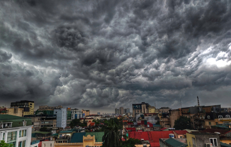 "Mưa vàng" đầu mùa giải nhiệt tiết trời oi bức ở TP Hà Nội