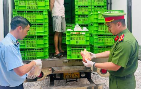 Gần 20 tấn thịt gà, gà ủ muối có dấu hiệu hư hỏng suýt đến tay người dân