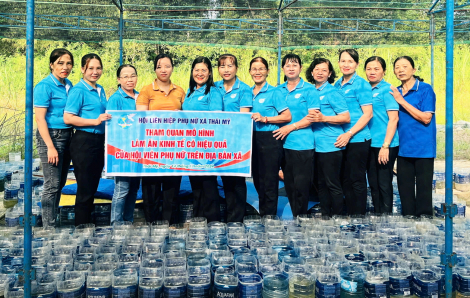 Những nông dân đô thị có thu nhập mơ ước