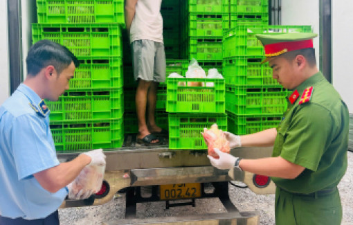 Tin tức ngày 22/4: Gần 20 tấn thịt gà, gà ủ muối có dấu hiệu hư hỏng suýt đến tay người dân