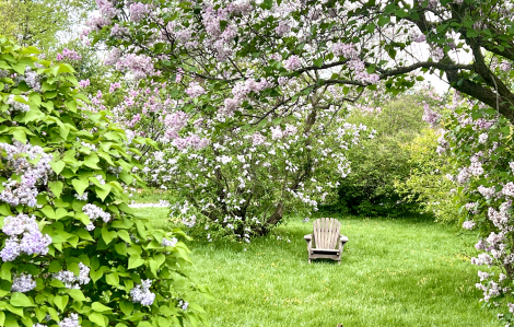 4 vườn bách thảo "cò bay mỏi cánh", đẹp 4 mùa