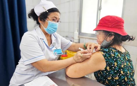 Nắng nóng, nhiều người bị chó mèo “nổi điên” tấn công