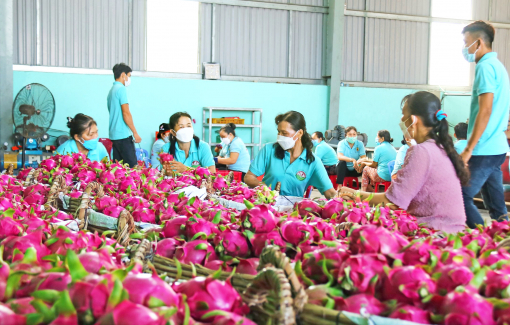 Nông sản phải an toàn, mới mong được giá