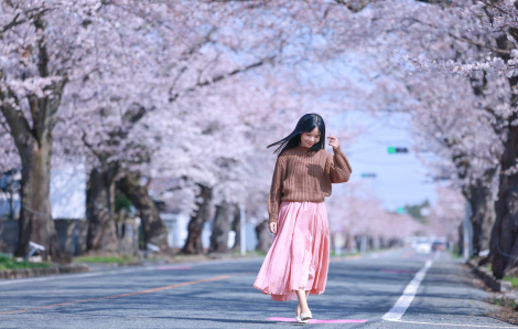 5 điểm đến ngắm hoa đào nổi tiếng ở Fukushima, Nhật Bản