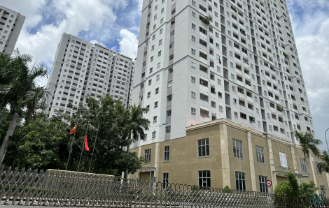 TPHCM dự kiến có khoảng 30.000 căn nhà ở xã hội trong năm nay