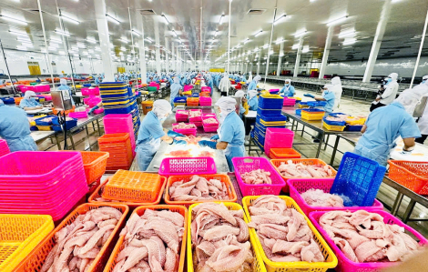 Báo chí nước ngoài: Việt Nam dẻo dai như cây tre trước biến động của thế giới