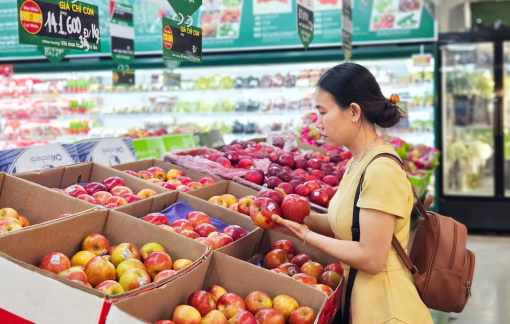 Thuế giảm, nông sản nhập từ Mỹ tăng vọt