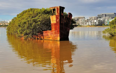 Độc đáo khu rừng xanh tươi trên chiếc tàu chiến cũ