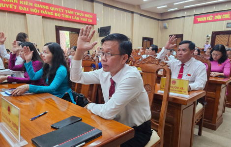 Kiên Giang cho chuyển hơn 83ha rừng ở Phú Quốc sang làm dự án du lịch