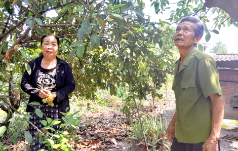 Ngôi nhà của người thương binh không một tiếng bấc tiếng chì