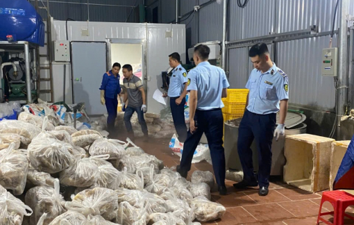 Phát hiện gần 11 tấn thịt bò và nội tạng bò bốc mùi