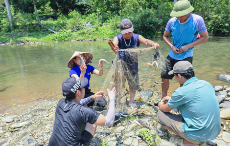 Lập tổ tuần tra cá, để 'hồi sinh' loài động vật đặc sản