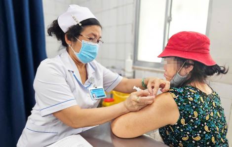 Nắng nóng, nhiều người bị chó mèo “nổi điên” tấn công