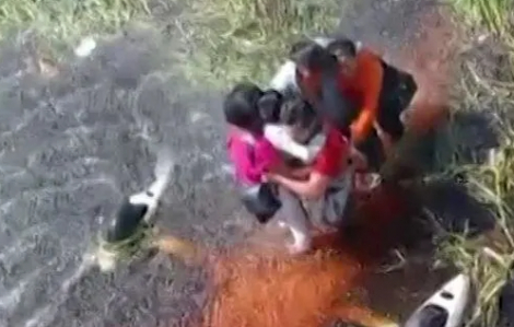 5 người sống sót sau 36 giờ trong một đầm lầy đầy cá sấu vì tai nạn máy bay