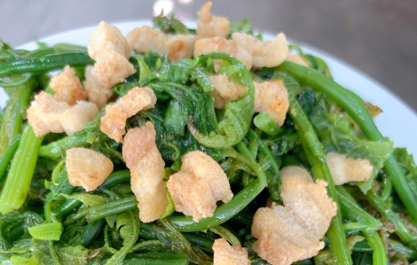 Rau dớn, món quà xanh từ núi rừng