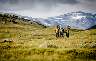 Những cung đường trekking đẹp nhất vào mùa hè, nhìn là muốn đi ngay