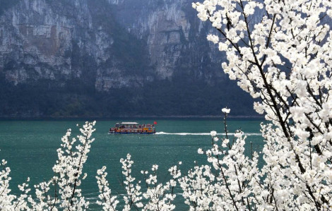 Hơn 60 người thương vong trong vụ lật thuyền ở Trung Quốc