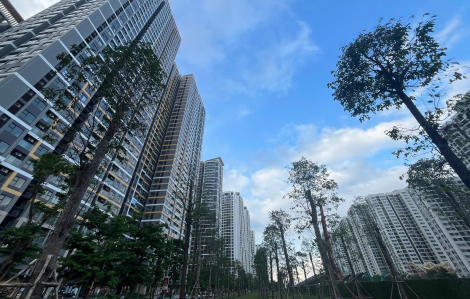 Giao dịch căn hộ chung cư ở TPHCM giảm gần 50%