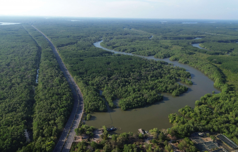 Dự kiến huy động 271 người và 46 phương tiện xử lý sự cố tràn dầu ở Cần Giờ