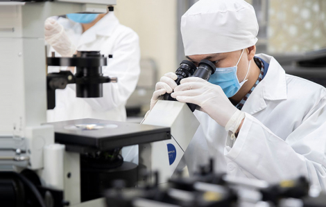 Nhân tài về nước được đảm bảo an sinh xã hội cho cả gia đình