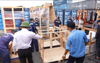 Buôn lậu hơn 253 ngàn bao thuốc lá có giá trị hơn 5,8 tỉ đồng, Công ty An Khang bị khởi tố