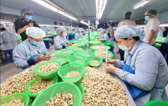 Doanh nghiệp gấp rút hoàn thành đơn hàng xuất khẩu sang Mỹ