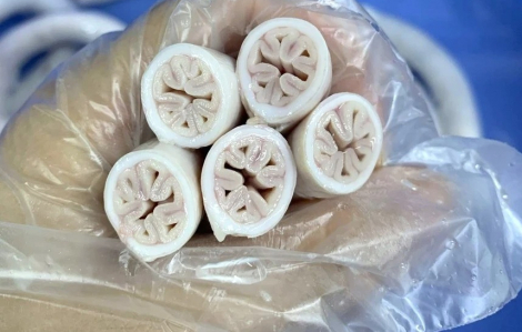 Hà Nội kiểm tra cơ sở quảng cáo bộ lòng se điếu dài 40 mét